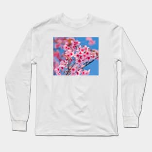 Cherry Blossoms in Bloom Long Sleeve T-Shirt